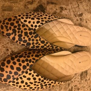 Birdies Leopard Print with soft animal skin pointy toe slides!
